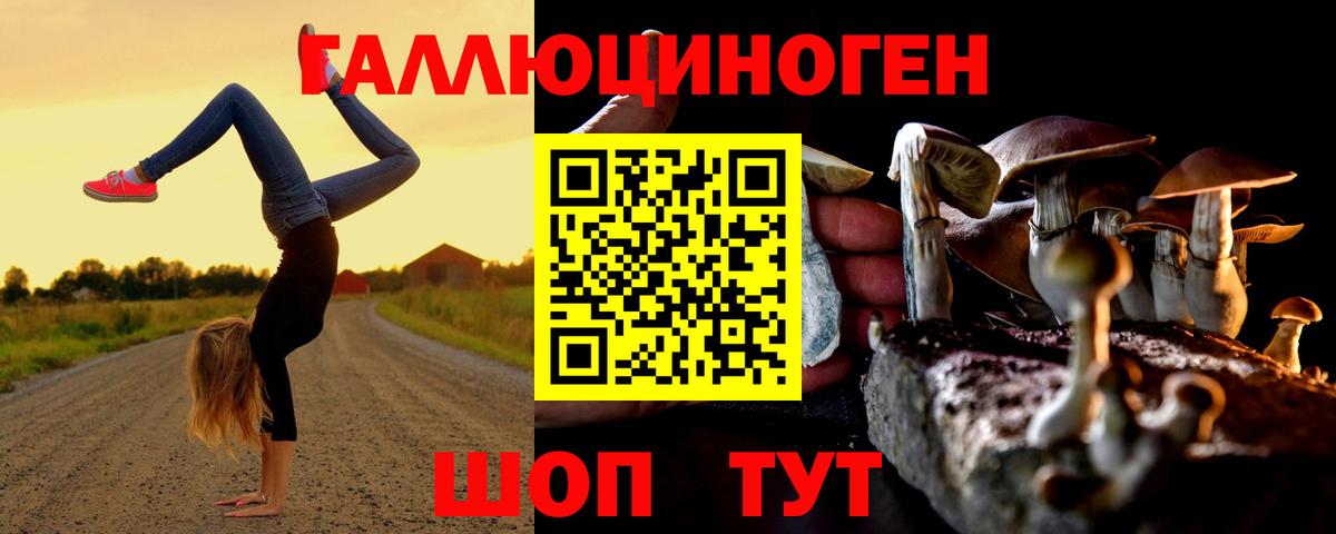 Электросталь  Псилоцибиновые грибы Cubensis  Вход с VPN 